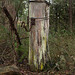 Gate Post P7085954