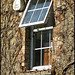 fake windows on old cottage
