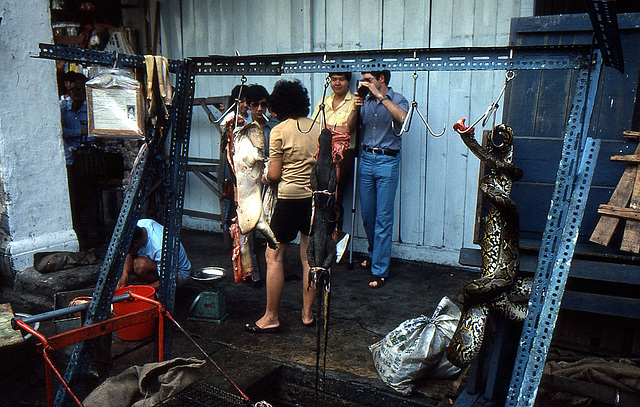 Schlachten am Strassenrand in Chinatown, Singapur (Chinatown) 1981