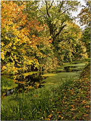 Wendover Arm, Grand Union Canal