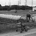 Tending the field