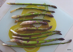 Fresh from the Asparagus bed...