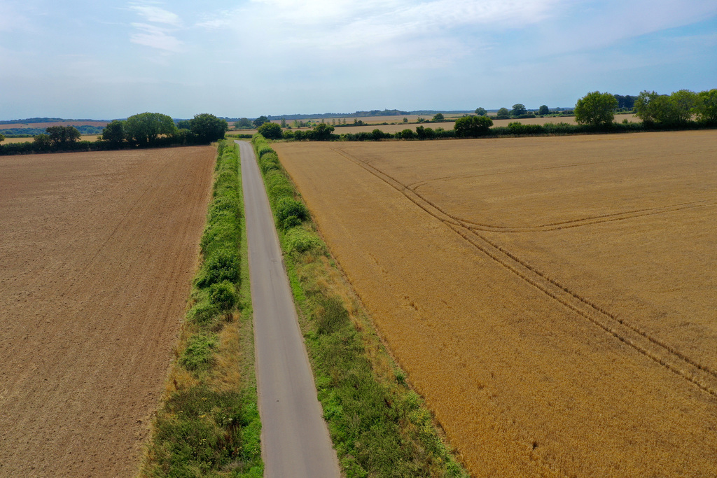 Dorset fields