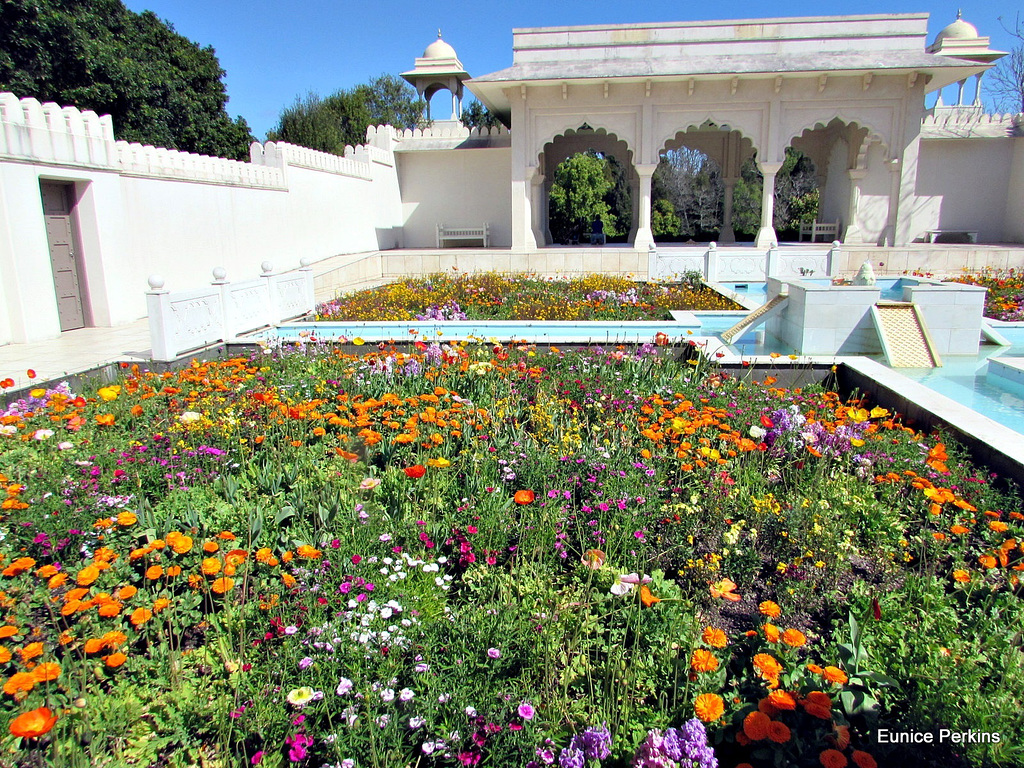 Beautiful Garden