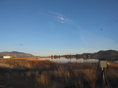 Pond through windshield