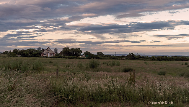 Fence at Twilight, HFF