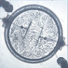 B03 2845