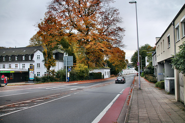 Ringstraße (Essen-Kettwig) / 1.11.2023