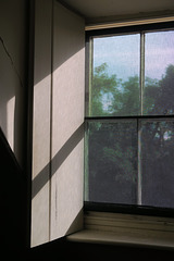 IMG 1512-001-Screened Window
