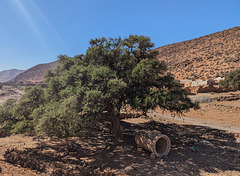 Tuyau d'égout abandonné à la marocaine