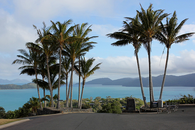 Whitsunday Trees