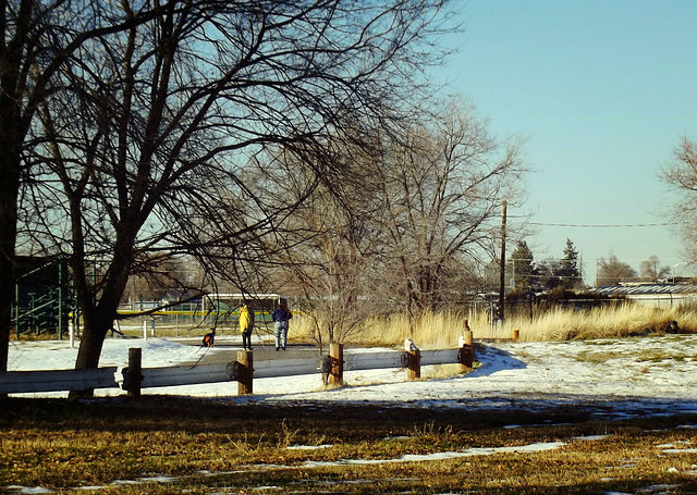 Dog walkers