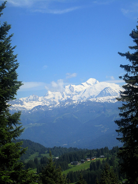 Le mont blanc