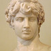 Detail of the Bust of Antinous in Palazzo Altemps, June 2014