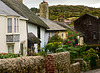 Sherborne Lane ~ Lyme Regis.