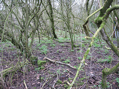 Evidence of the old Penn Brick Works  on Colton Hills closed around 1910.