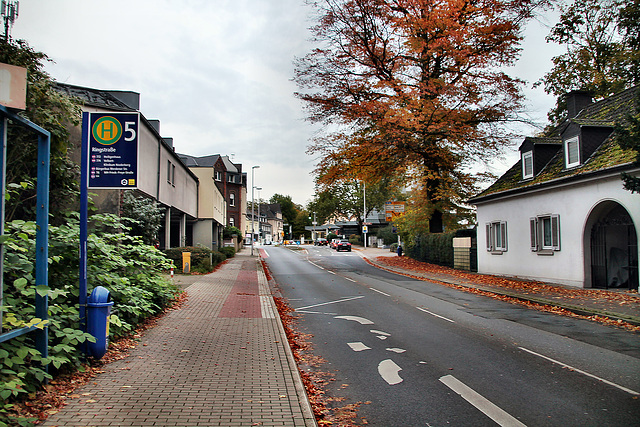 Ringstraße (Essen-Kettwig) / 1.11.2023