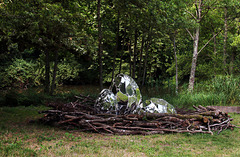 Une découverte majeure dans la forêt d'Orléans , un nid d'oeufs de dinosaure