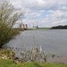 Looking towards Rugeley Power Station with Lawnmeadow Covert at the far end of the pool