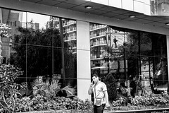 fence reflections on street bw