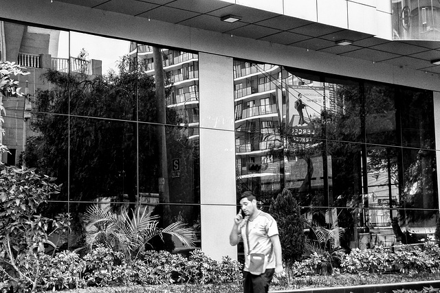 fence reflections on street bw