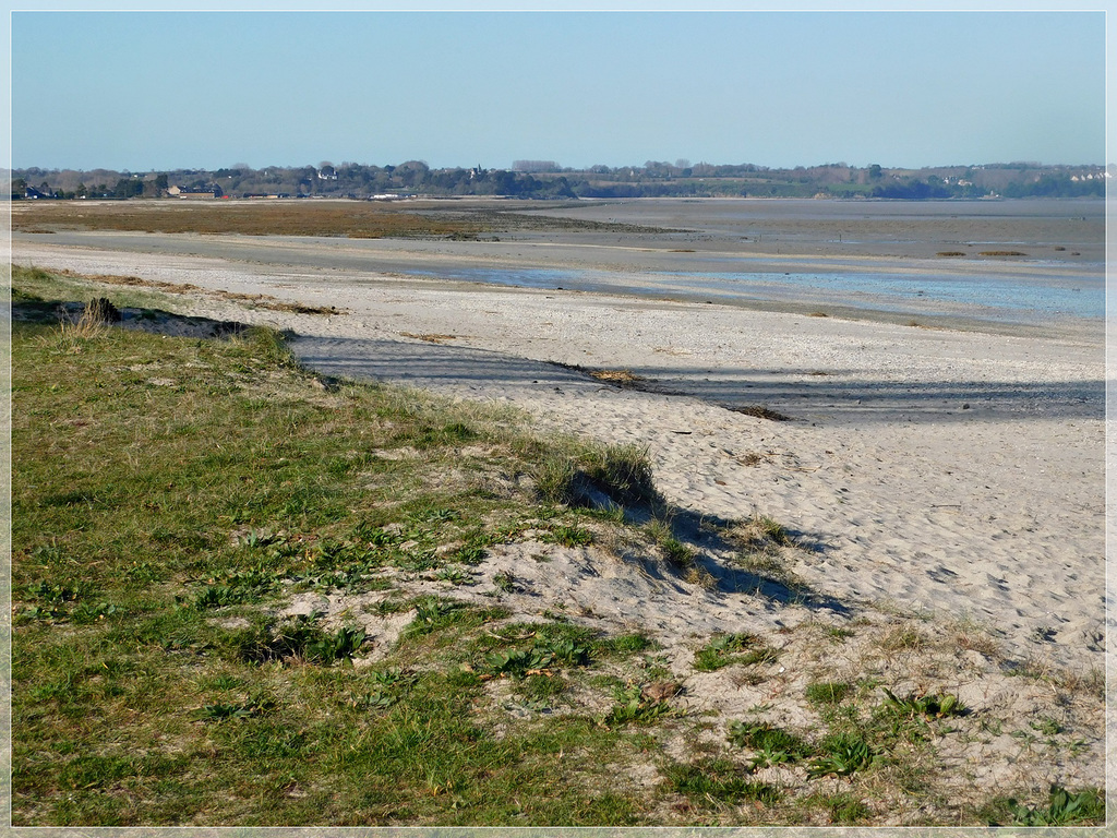 Marée basse à Saint Benoit des ondes (35)