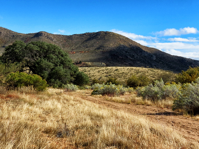 Turquoise In The Hills & Skies