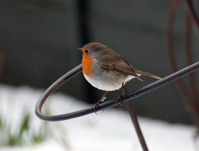 The first day of meteorological spring