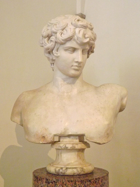 Bust of Antinous in Palazzo Altemps, June 2014