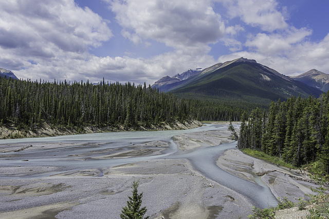 North Saskatchewan River (© Buelipix)