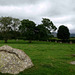 Long Meg and Her Daughters