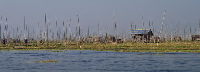 boat trip on Lake Inle