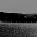 black + grey - a Photoshopped view of the Rampion Wind-farm, from Seaford beach.