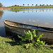 The Lake at Architectural Plants