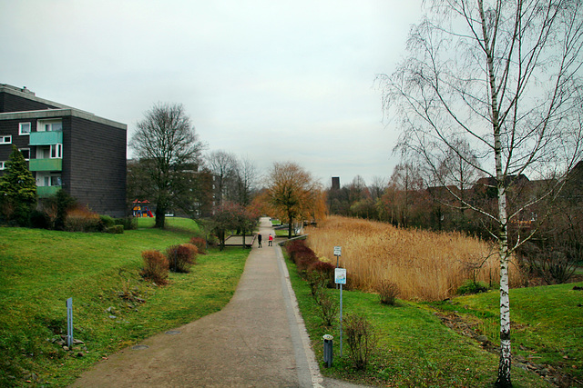 Wasserpark Bergkamen / 5.01.2020