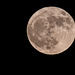 Vollmond