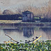 Reflection in Lake Hule, Israel