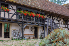 Écomusée d’Alsace ... P.i.P. (© Buelipix)