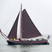 20140910 5124VRAw [NL]  Segelschiff, Terschelling