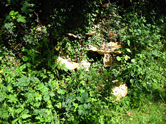 Towpath of the Staffs and Worcs Canal near Dunstall Water Bridge