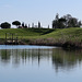 The Lake at Architectural Plants