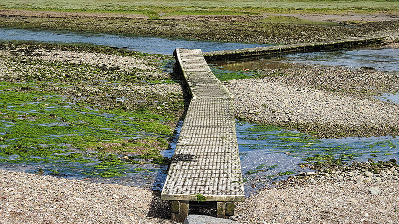 20190609 4909CPw [R~GB] Flußbrücke, Wales