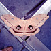 Polyphemus moth on court street