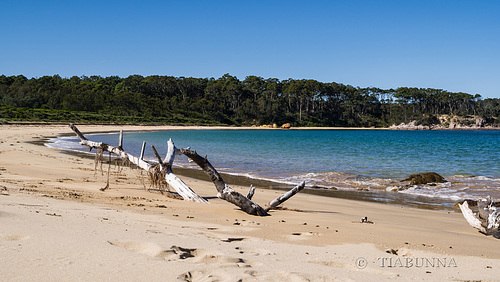 Quiriga Beach