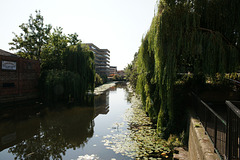 River Foss In York