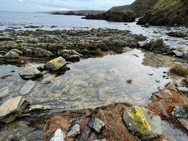 View from the Cullen to Findlater Castle Coastal Trail