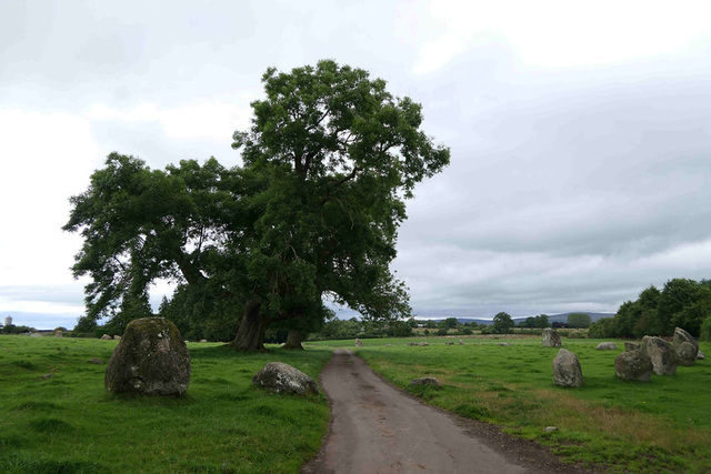 Long Meg and Her Daughters