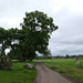 Long Meg and Her Daughters