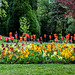Manor Park formal gardens