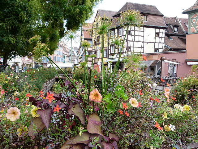 Stadt der Blumenkästen